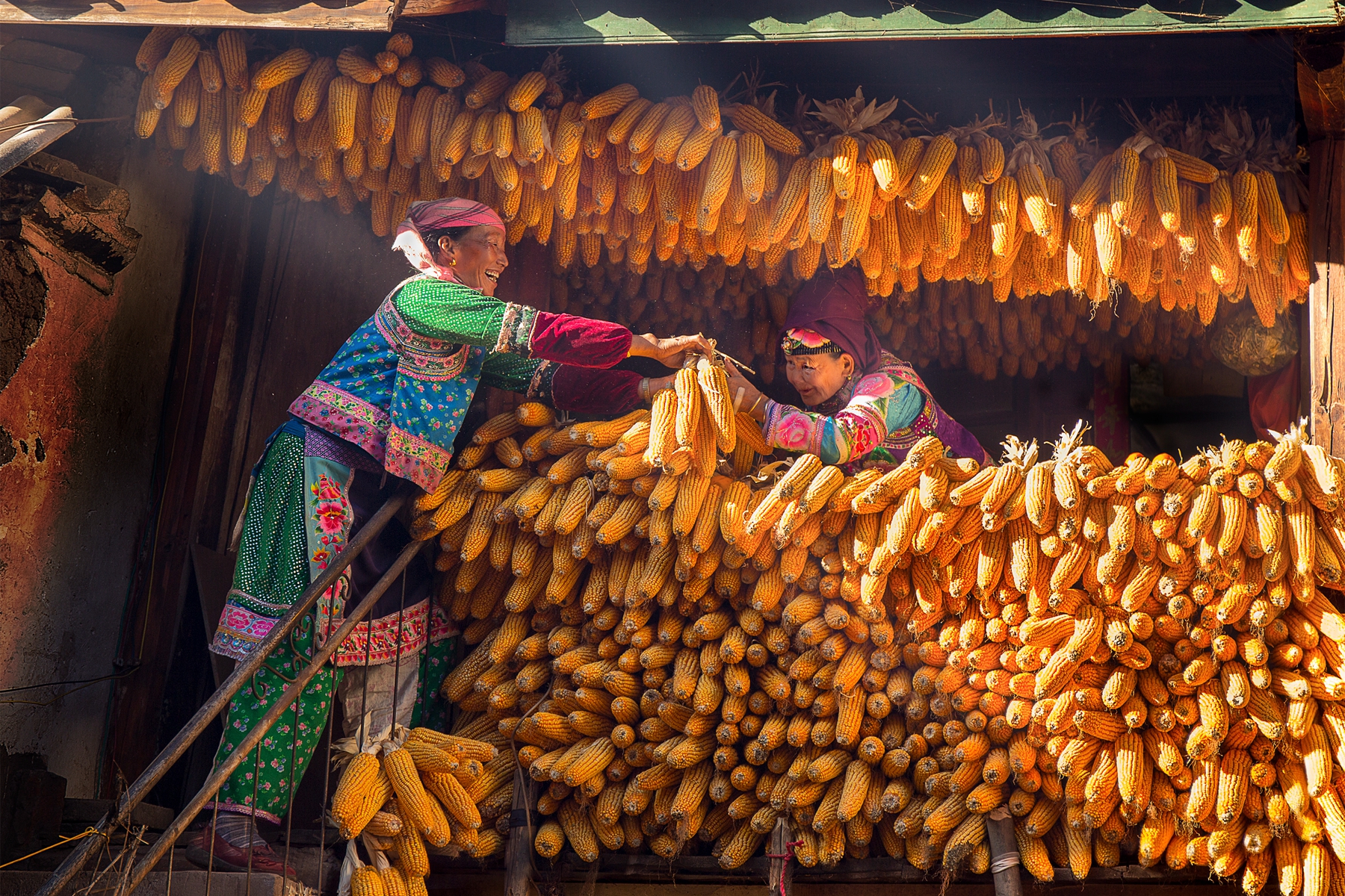 4優選獎-豐收之樂-邱日發