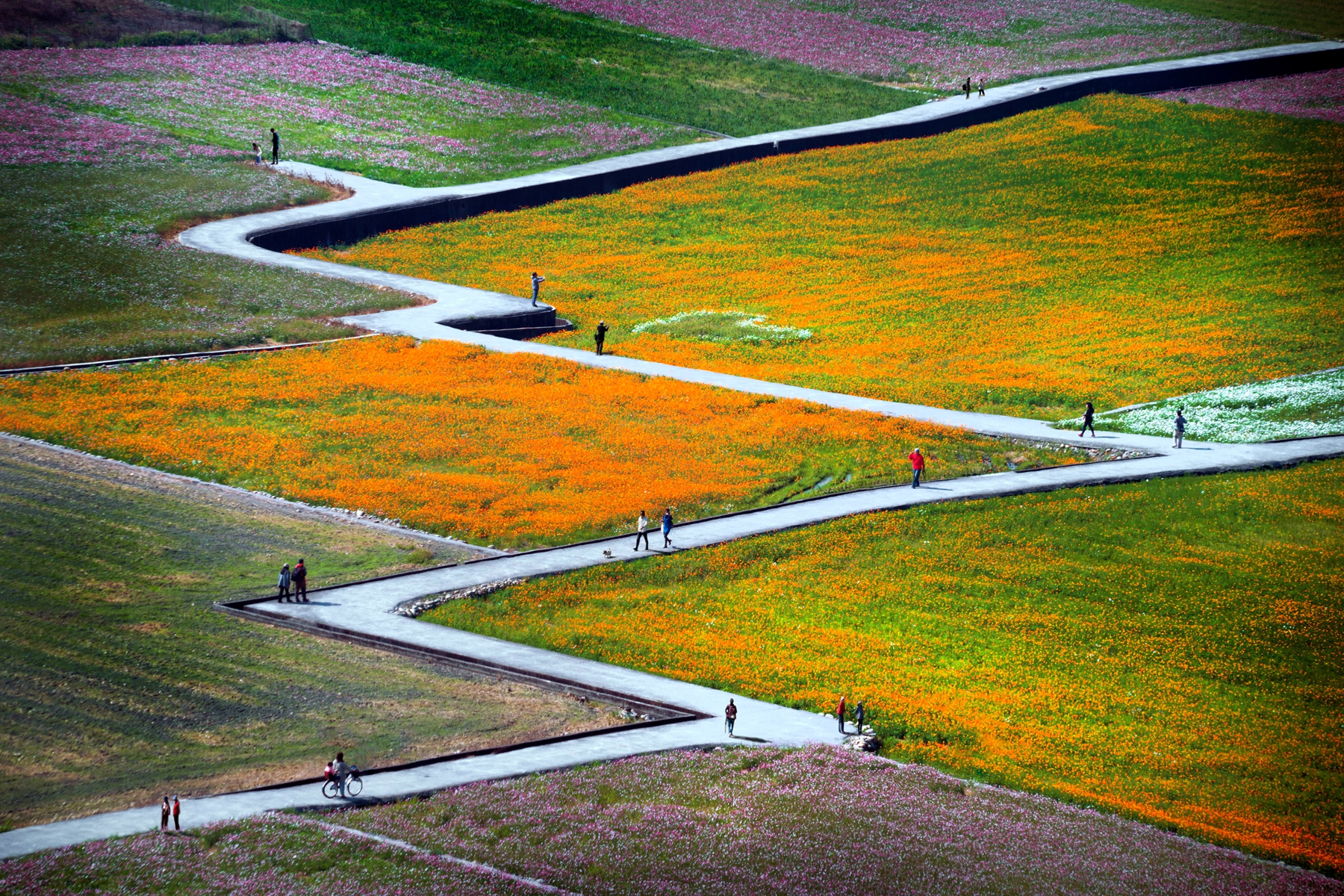 佳作獎-彩色大地-汪國禎