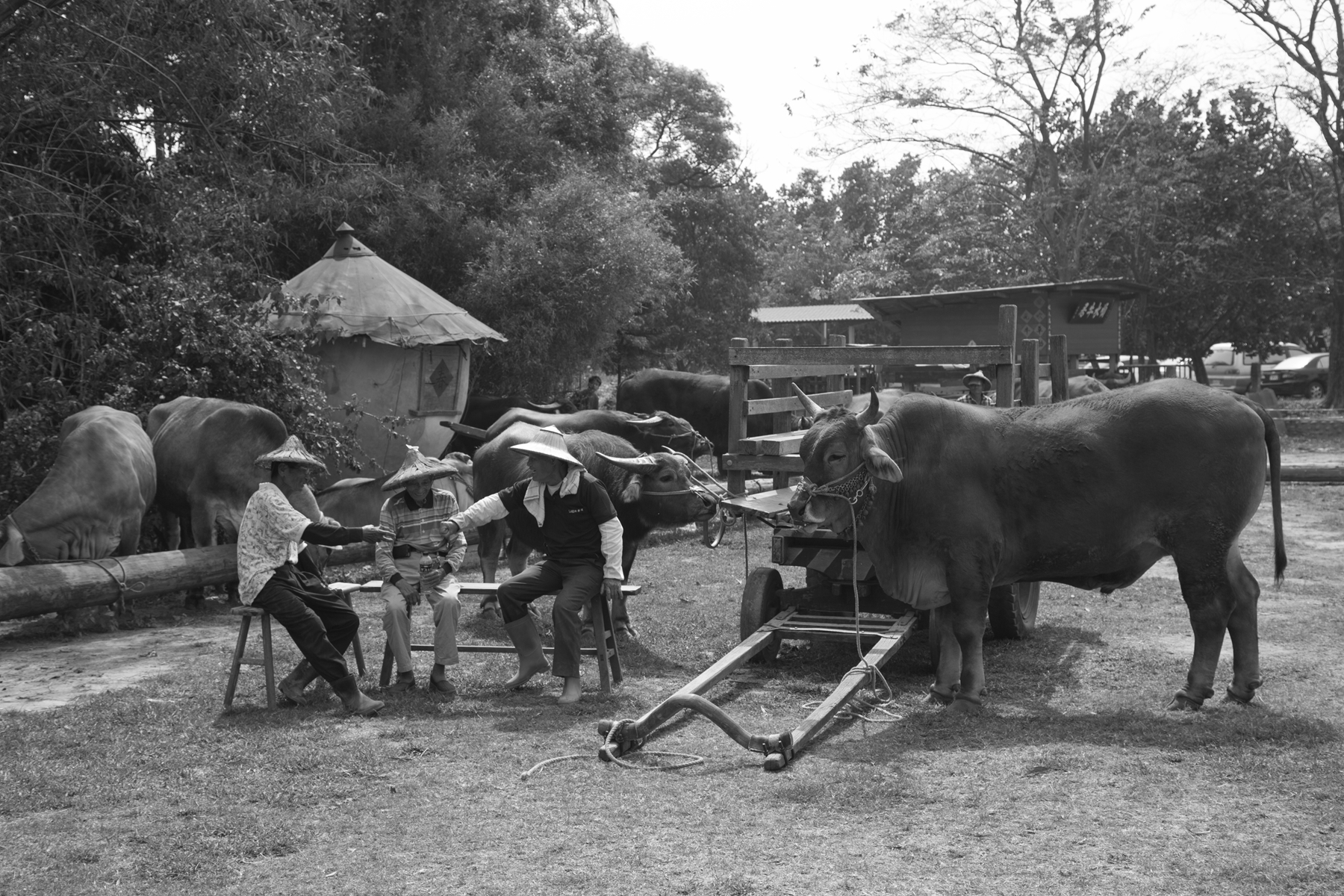 佳作獎-童年記憶-林銘尊