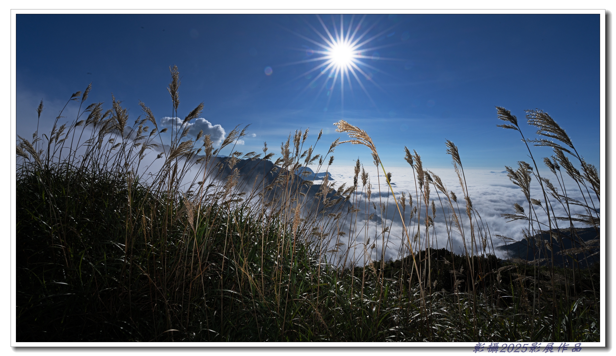 05.張文聰-芒花與雲海