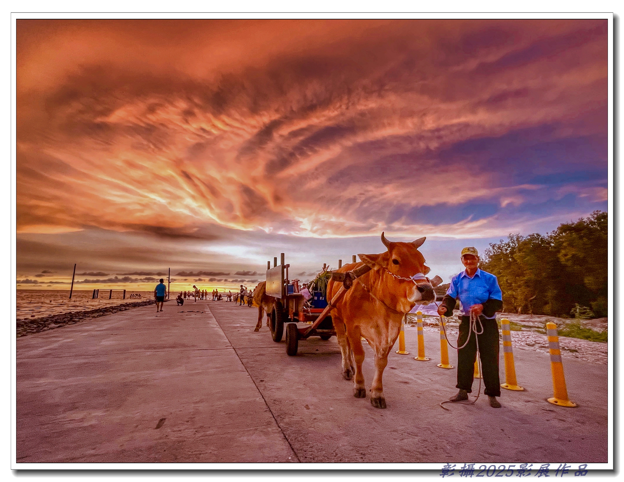 08.1施敏芳-海牛