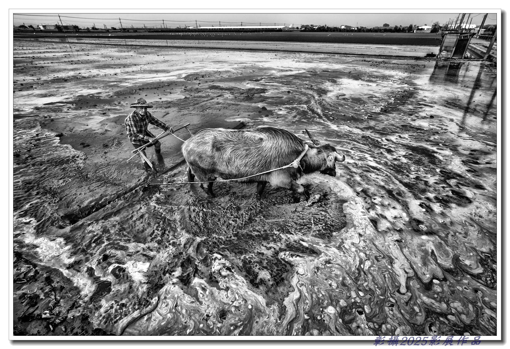 12.林侑用-腳踏實地