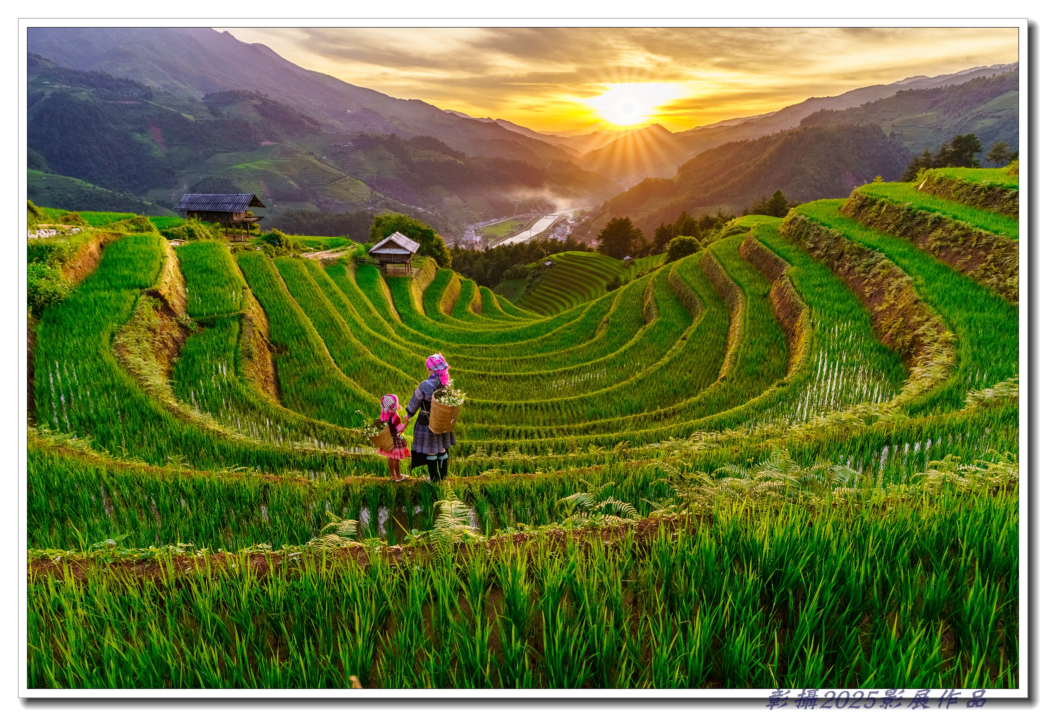 15.賴永祥-梯田風光