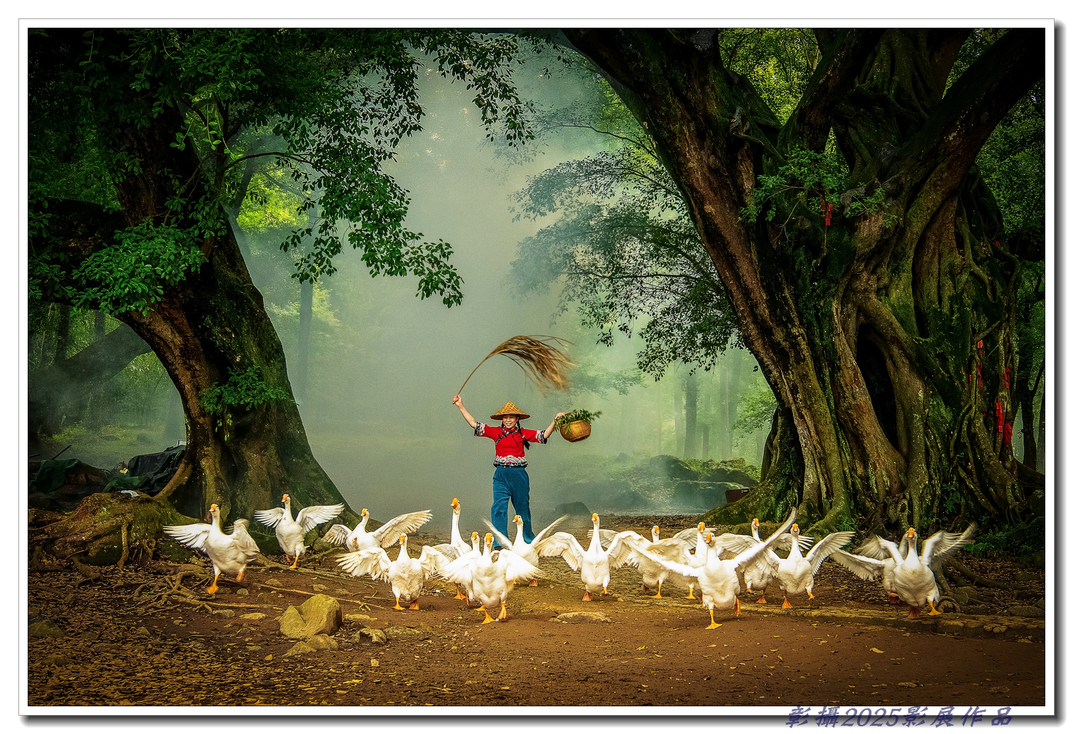 37.洪子芸-鵝戲森林