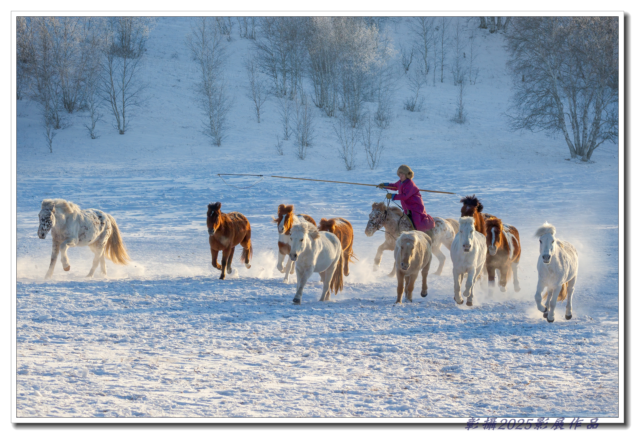 42.陳秀芳-雪地奔馬