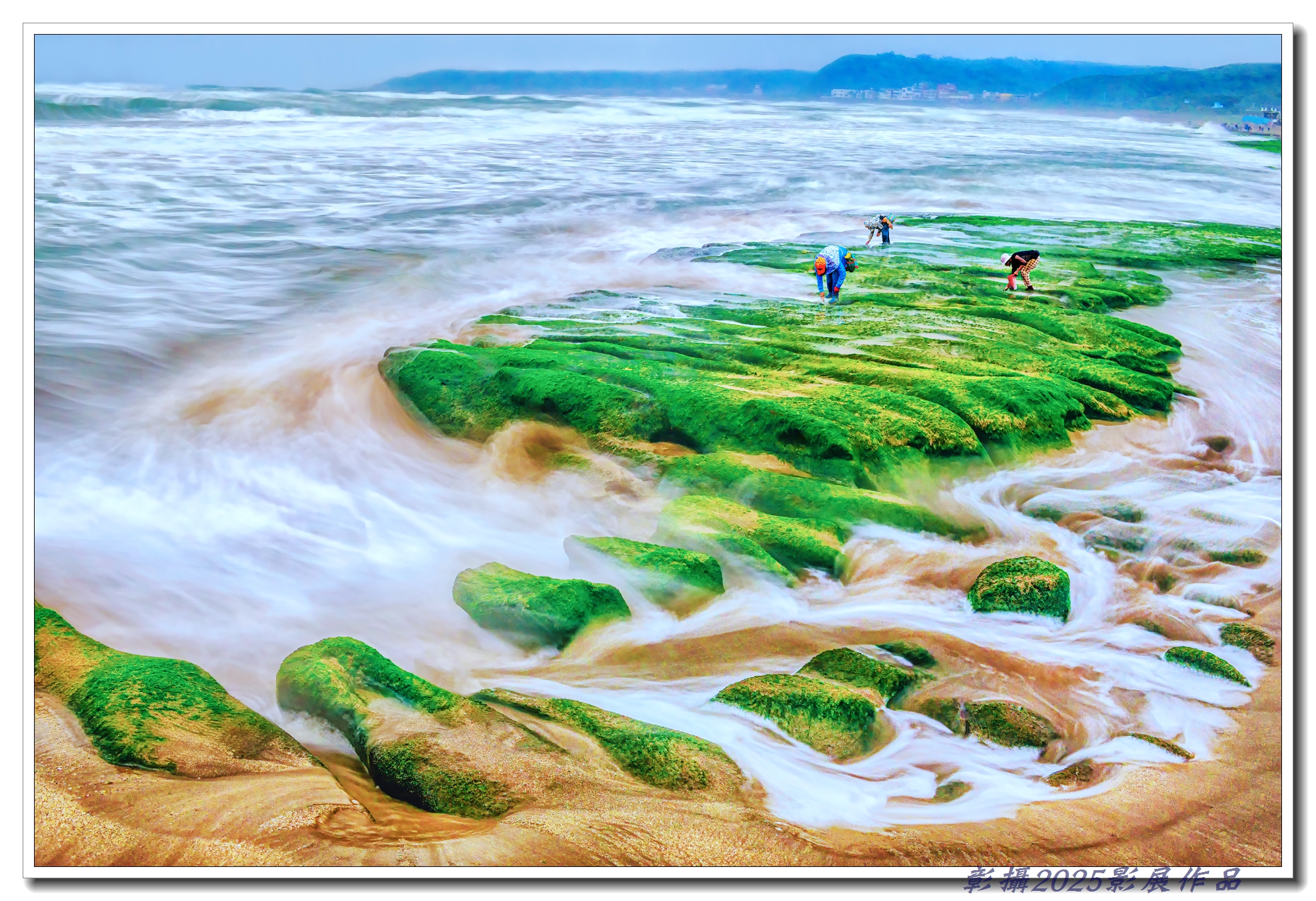 43.蔡火誠-老梅的春天