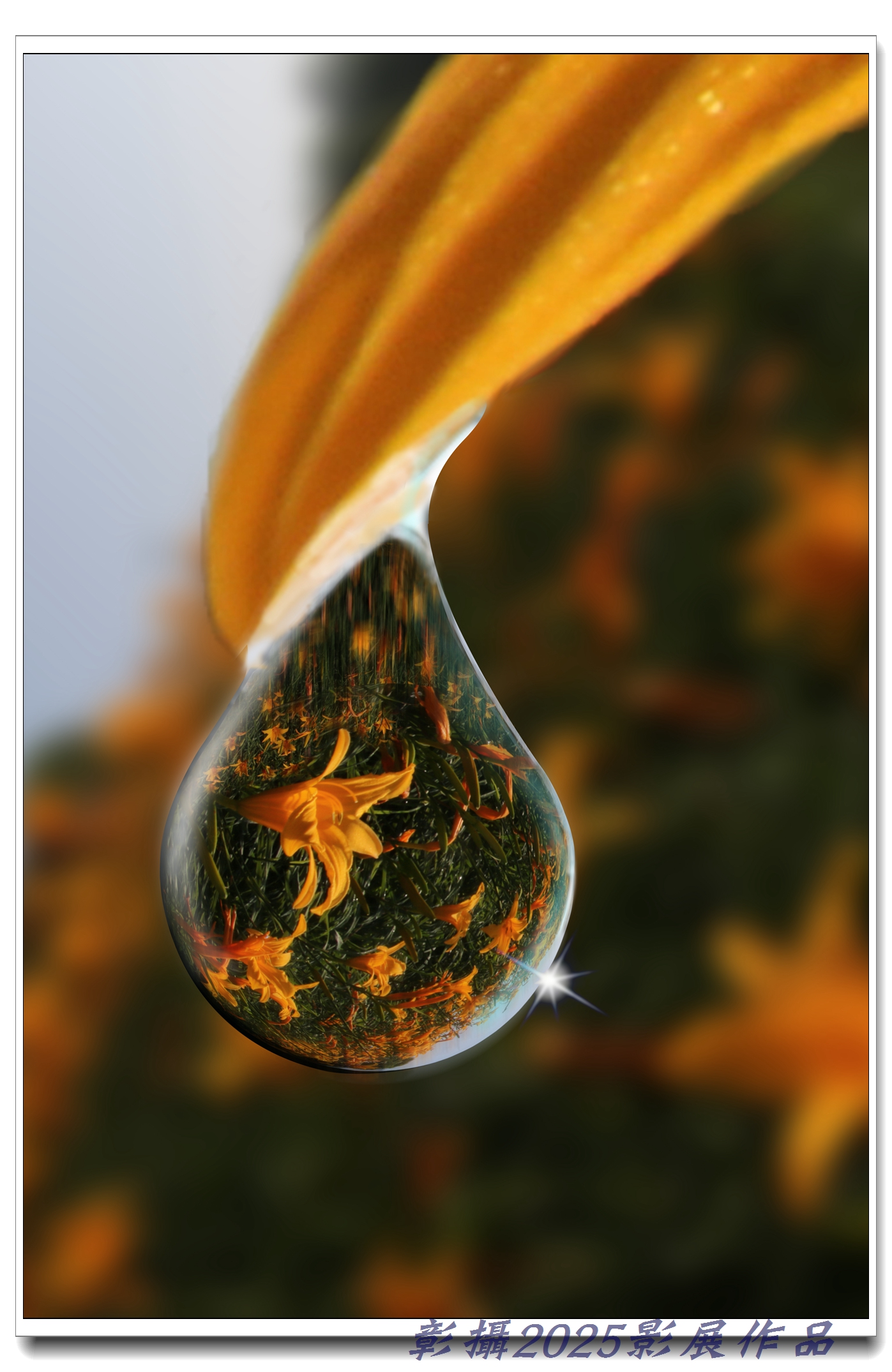 49.董順達-金花綴珠