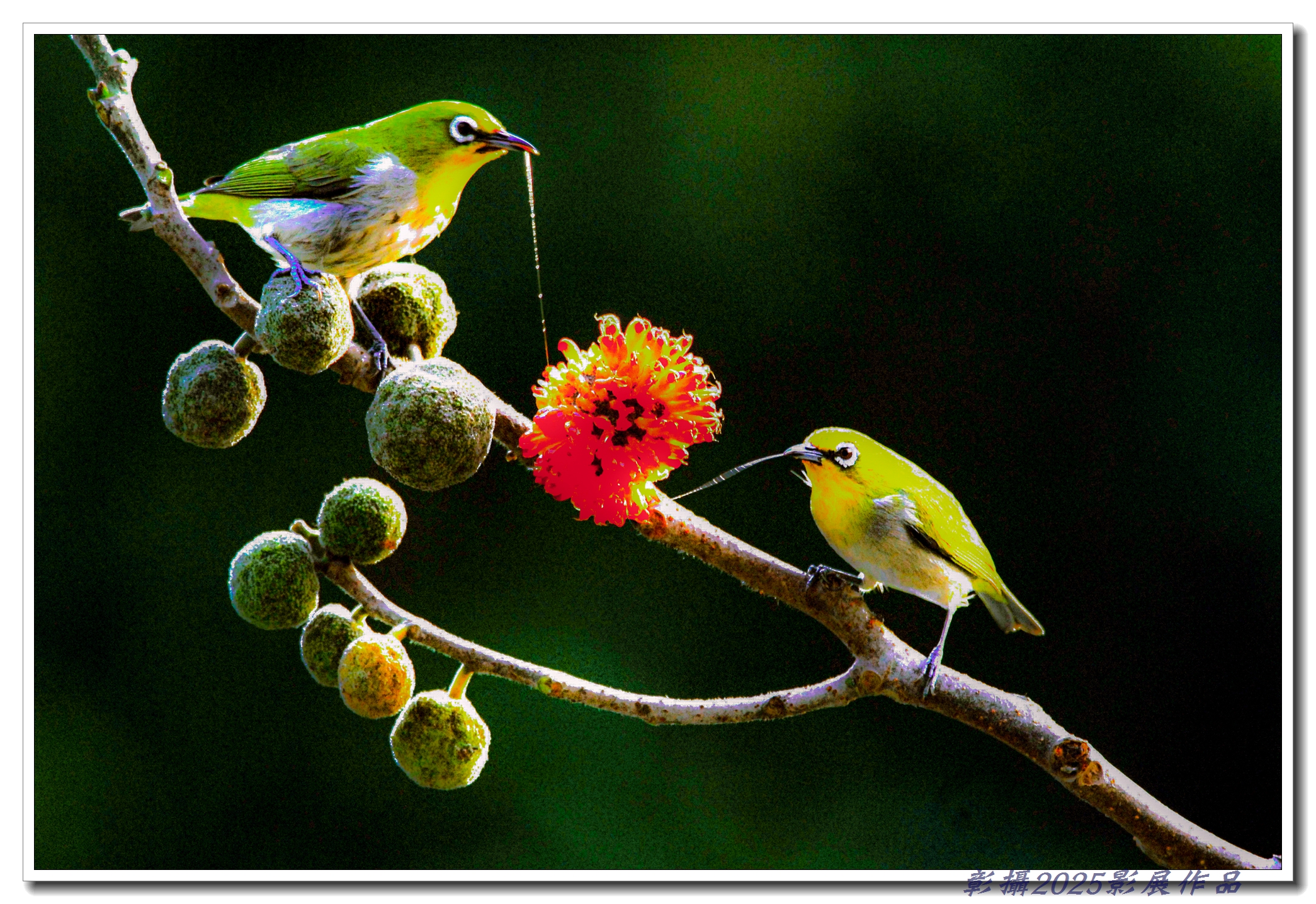 66.蔡孟興-夫妻同享