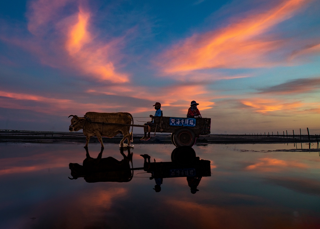 5月優選-楊泔泉-回家3