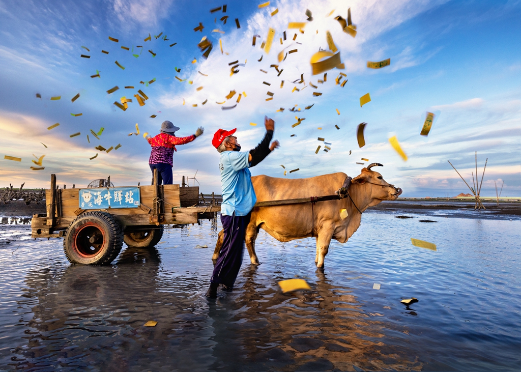 5月金牌-邱瑞山-蚵田采風2