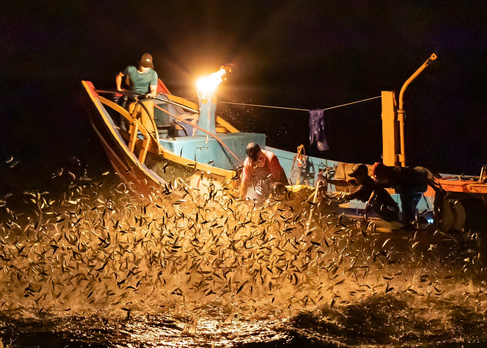 8月銀牌-楊泔泉-磺火捕魚3