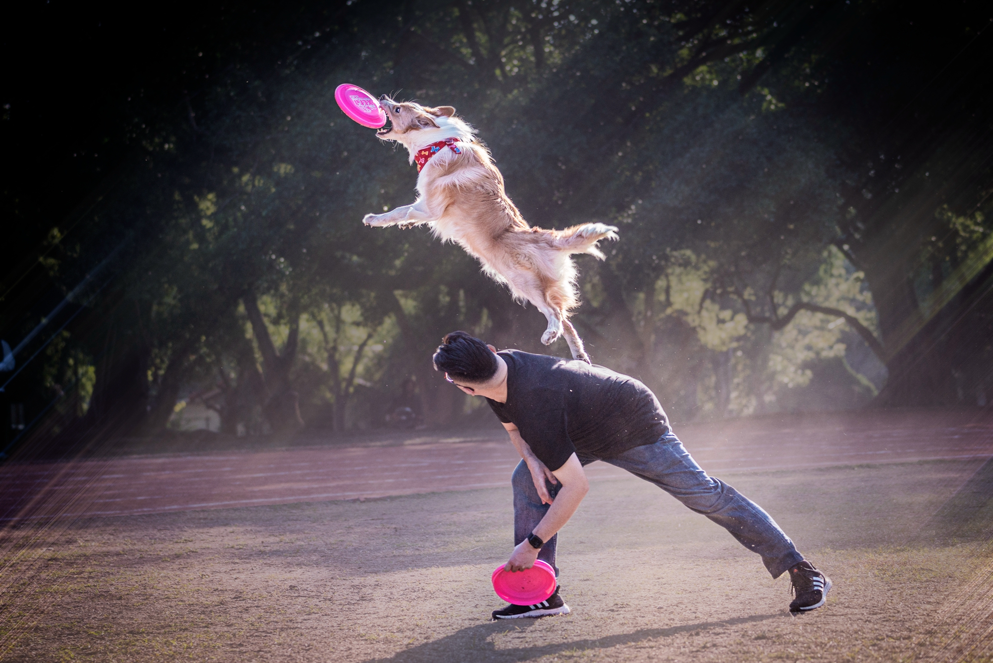 05-入選-吳長提-飛盤狗表演
