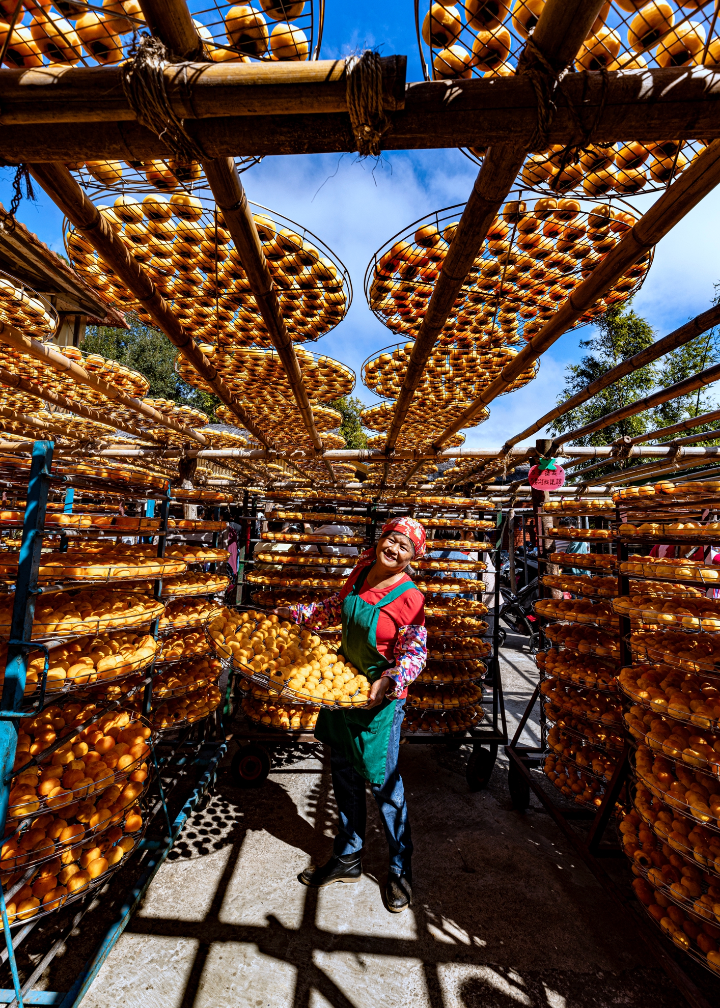 02-銀牌-黃清圳-豐收樂