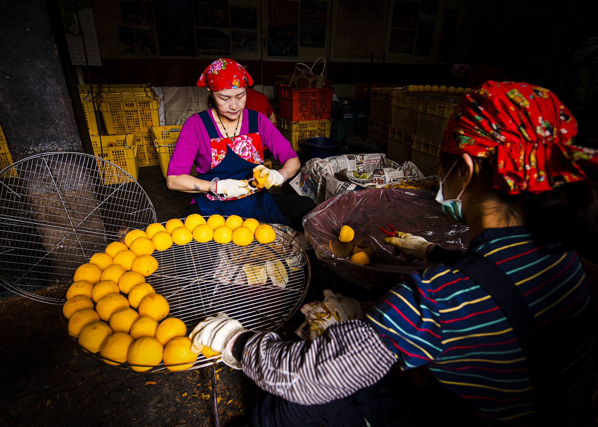 04-優選-許冠廷-柿柿如意
