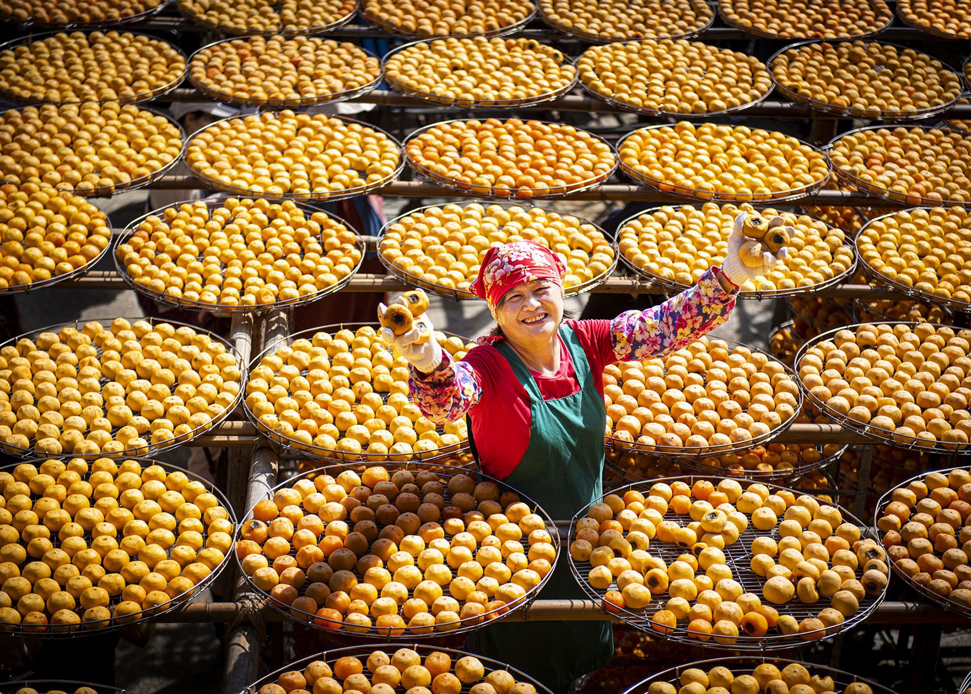 04-優選-許冠廷-萬柿如意