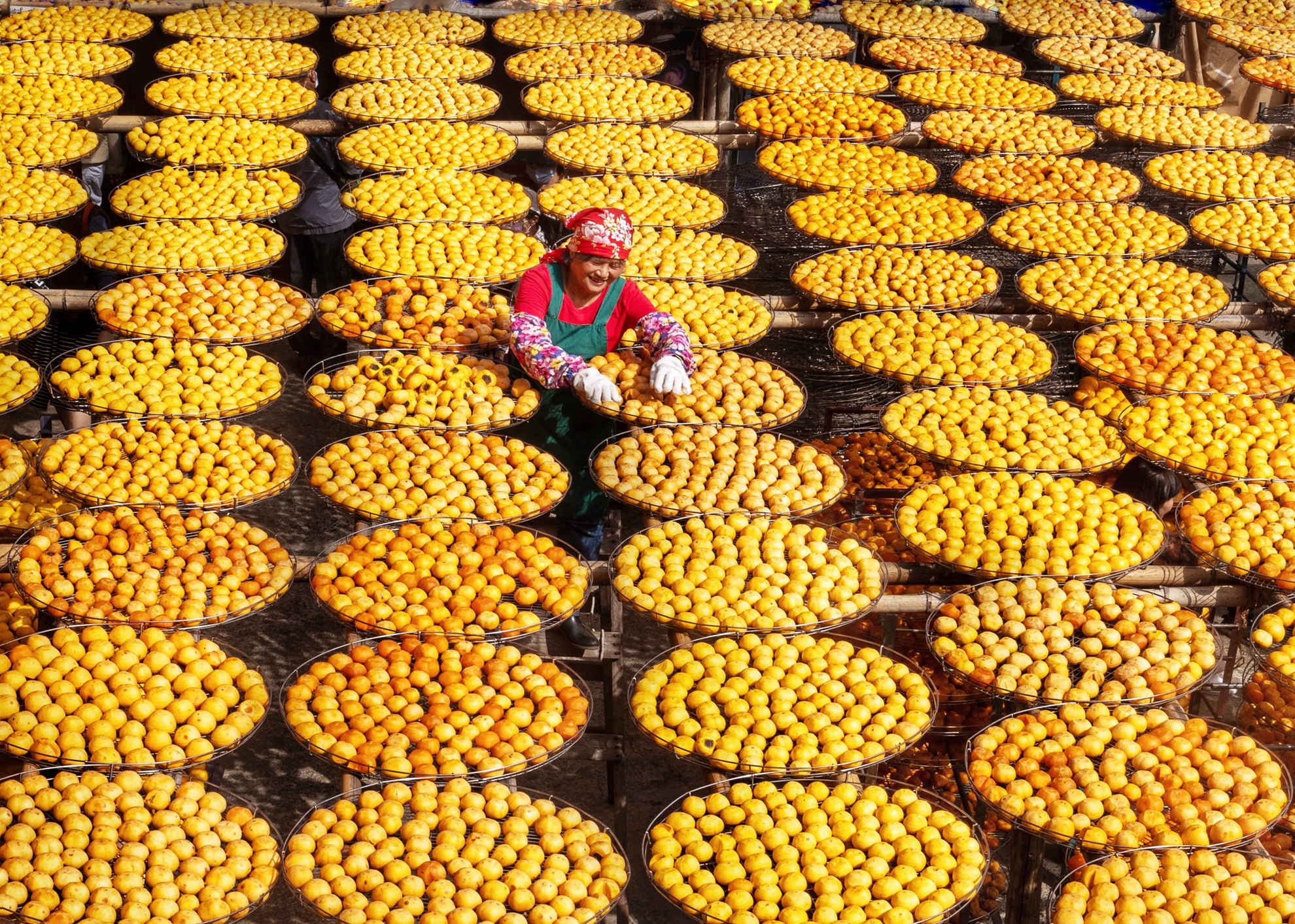 05-入選-胡菀玲-曬柿子