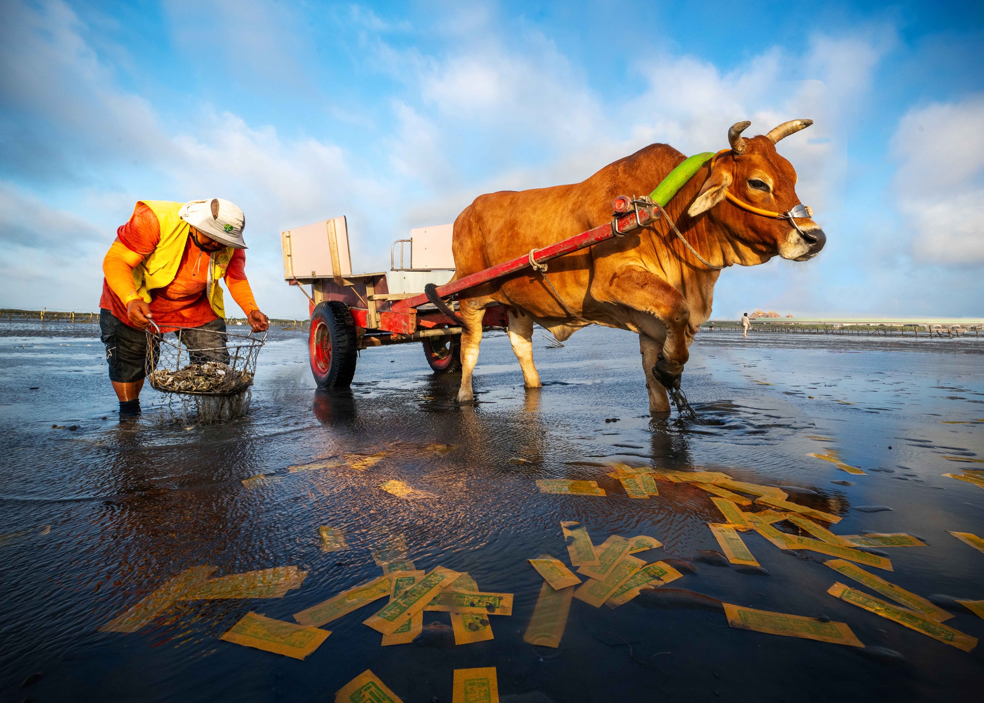 02.銀牌.洗蚵.洪子芸