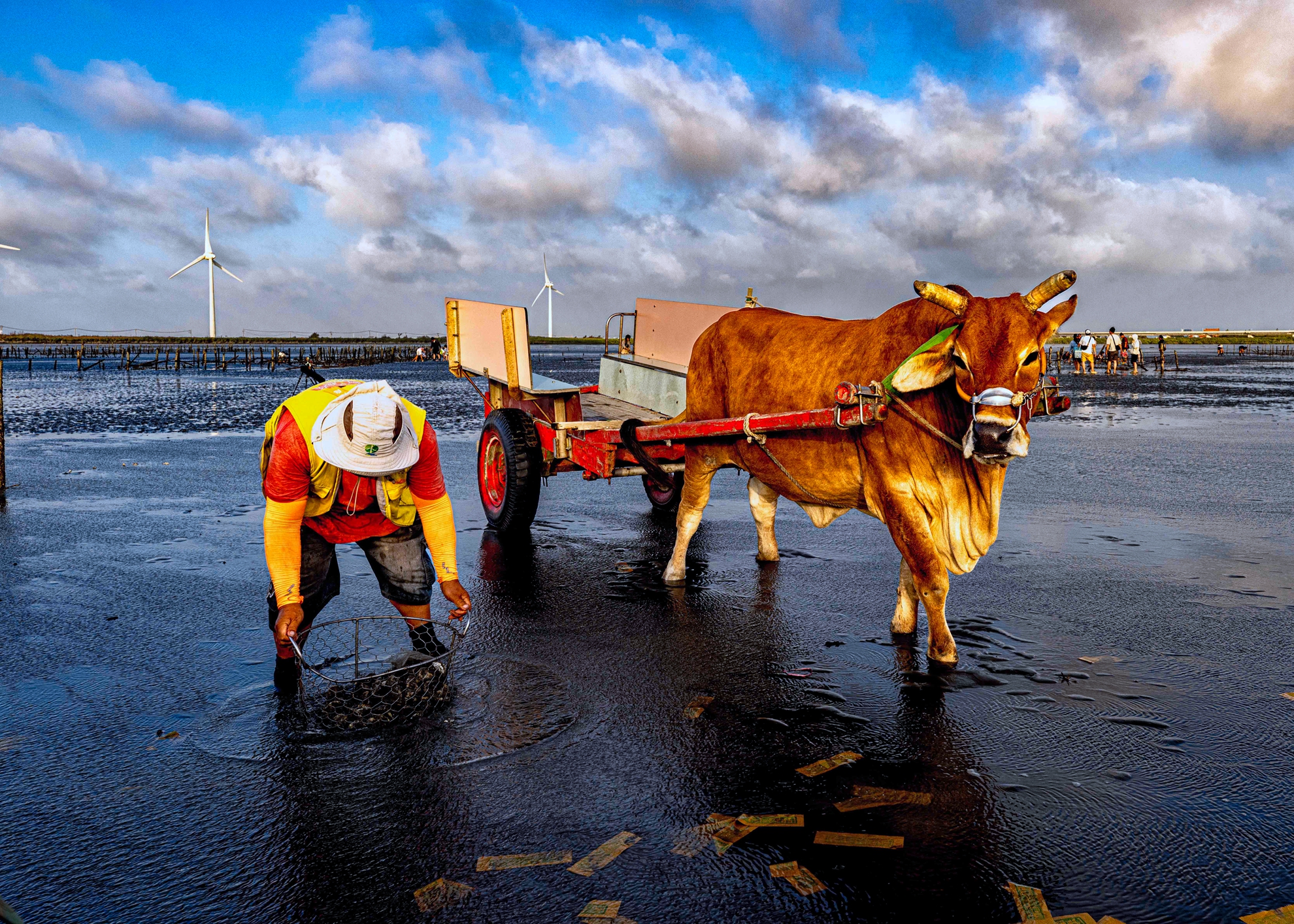 04.優選.勞力.黃清圳