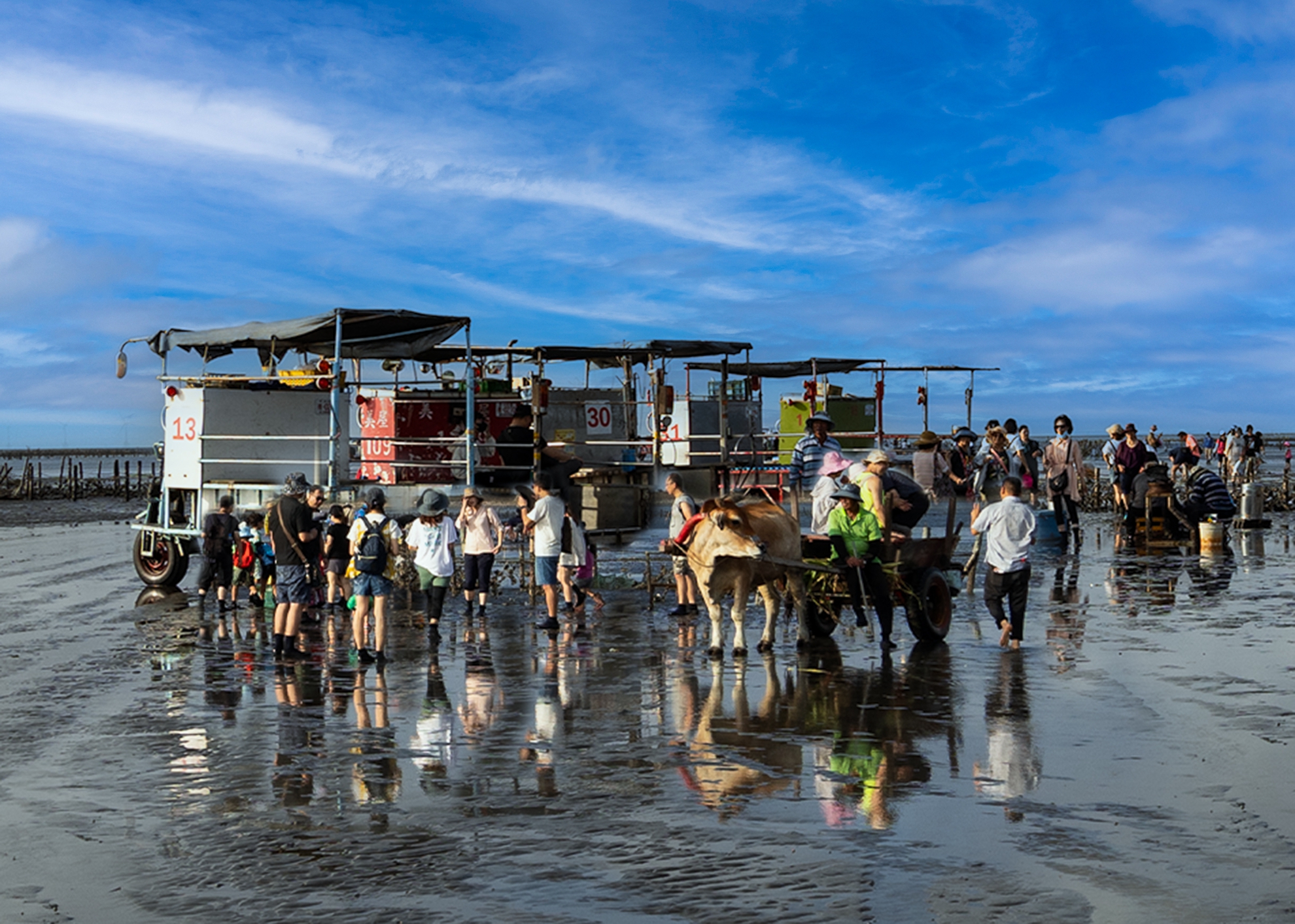 05.入選.採蚵體驗樂.楊清福
