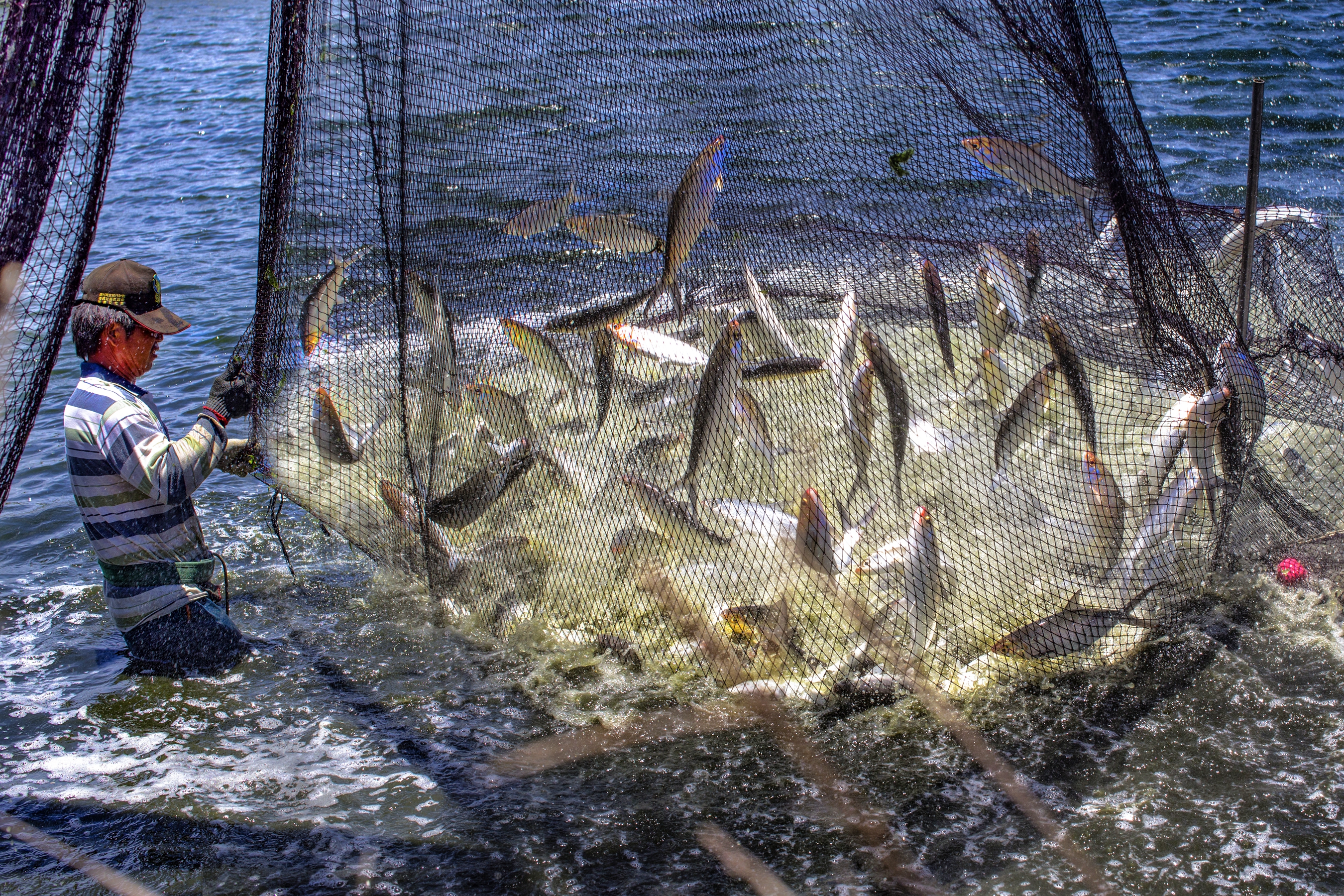 1月佳作-陳瀅全-跳躍~豐收