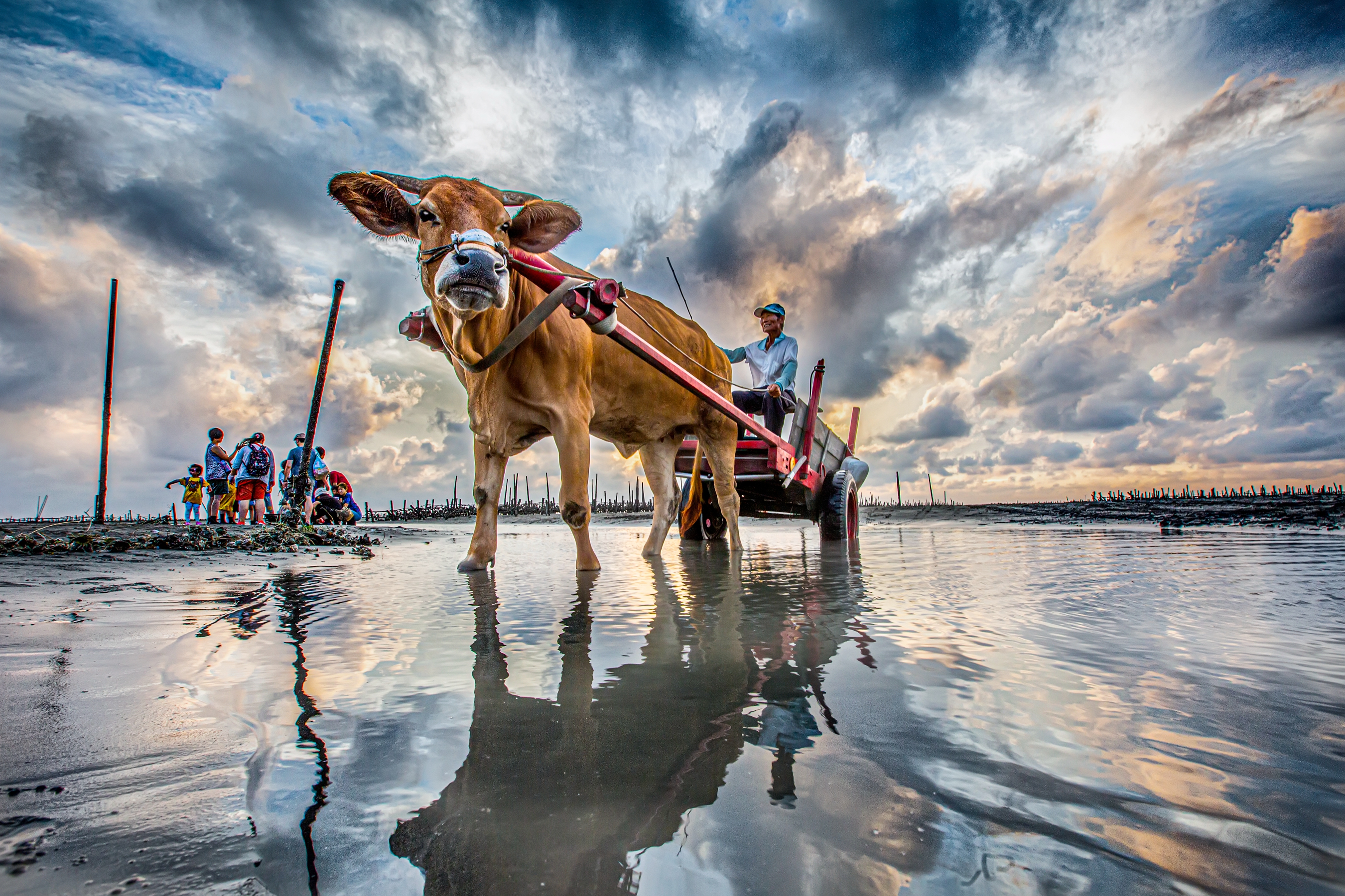 1月佳作-陳翠娥-暮歸   
