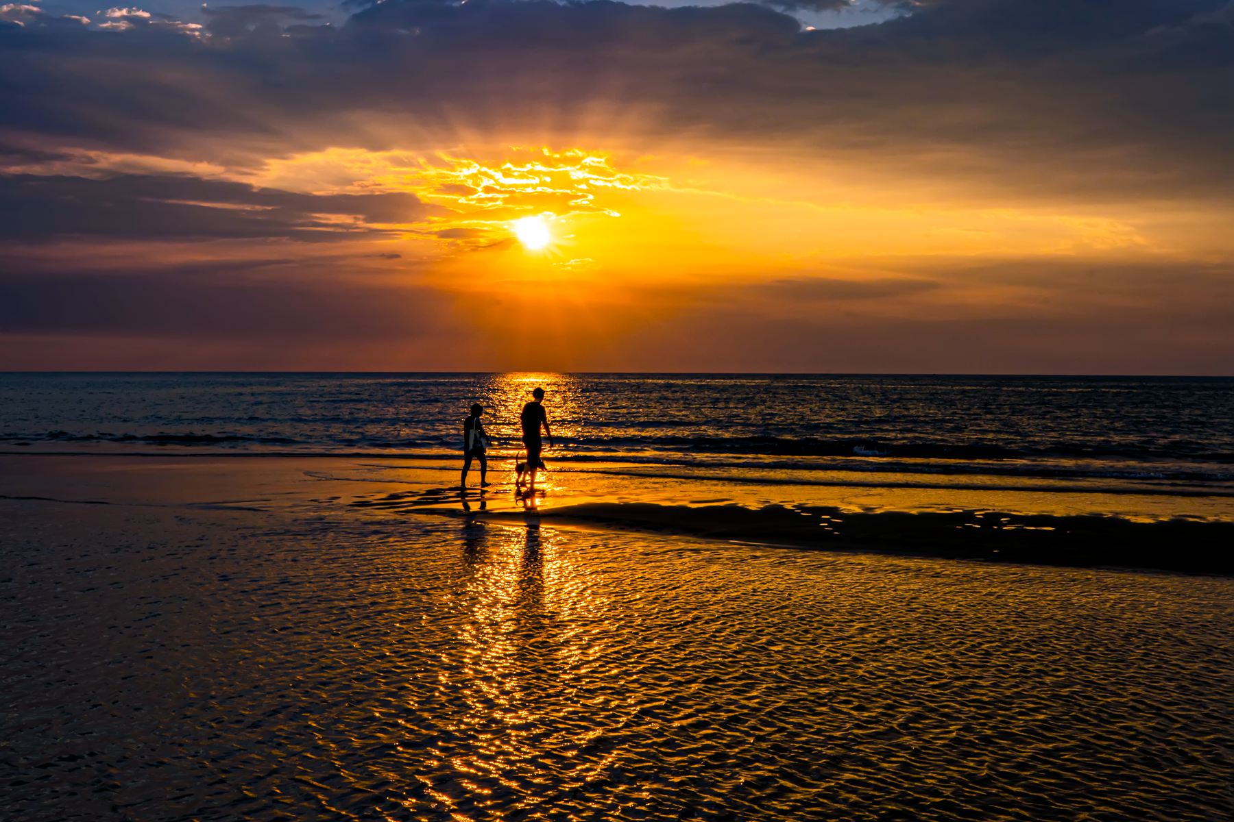 1月入選-黃証義-夕歸    