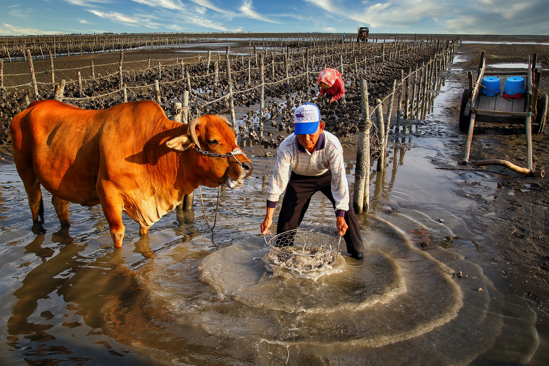 2月份佳作-陳秀芳-洗蚵人家
