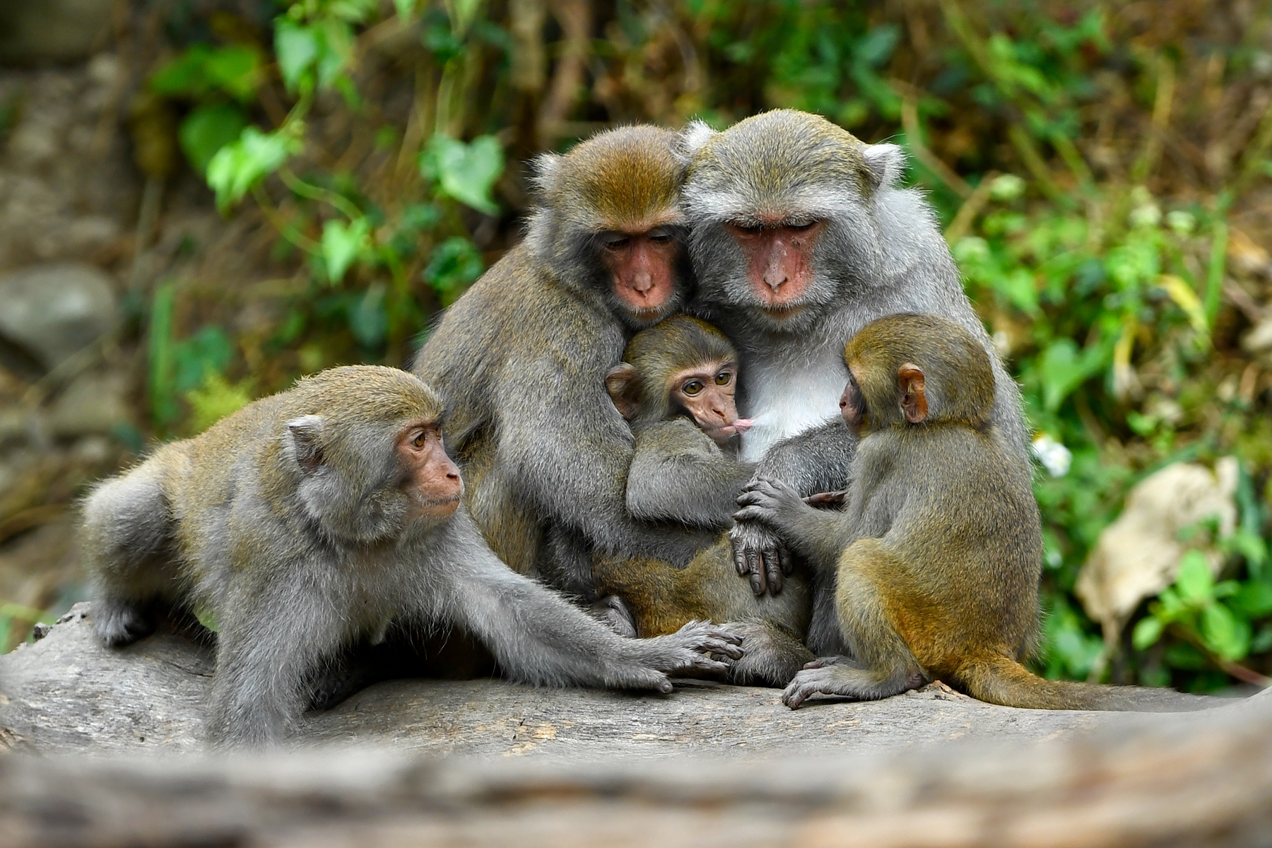 3月入選-陳泓文-幸福