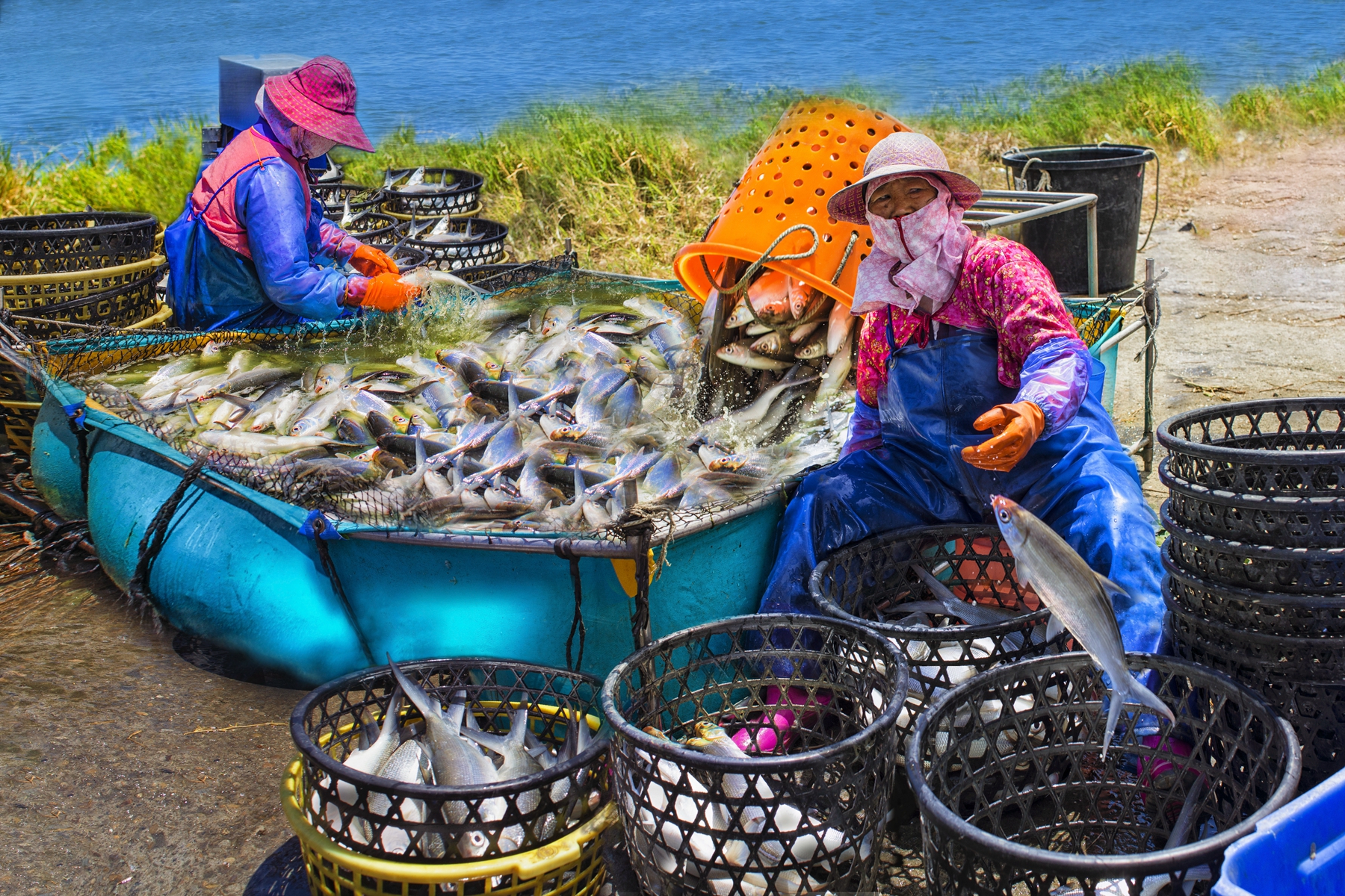 3月入選-陳瀅全-豐收樂淘淘