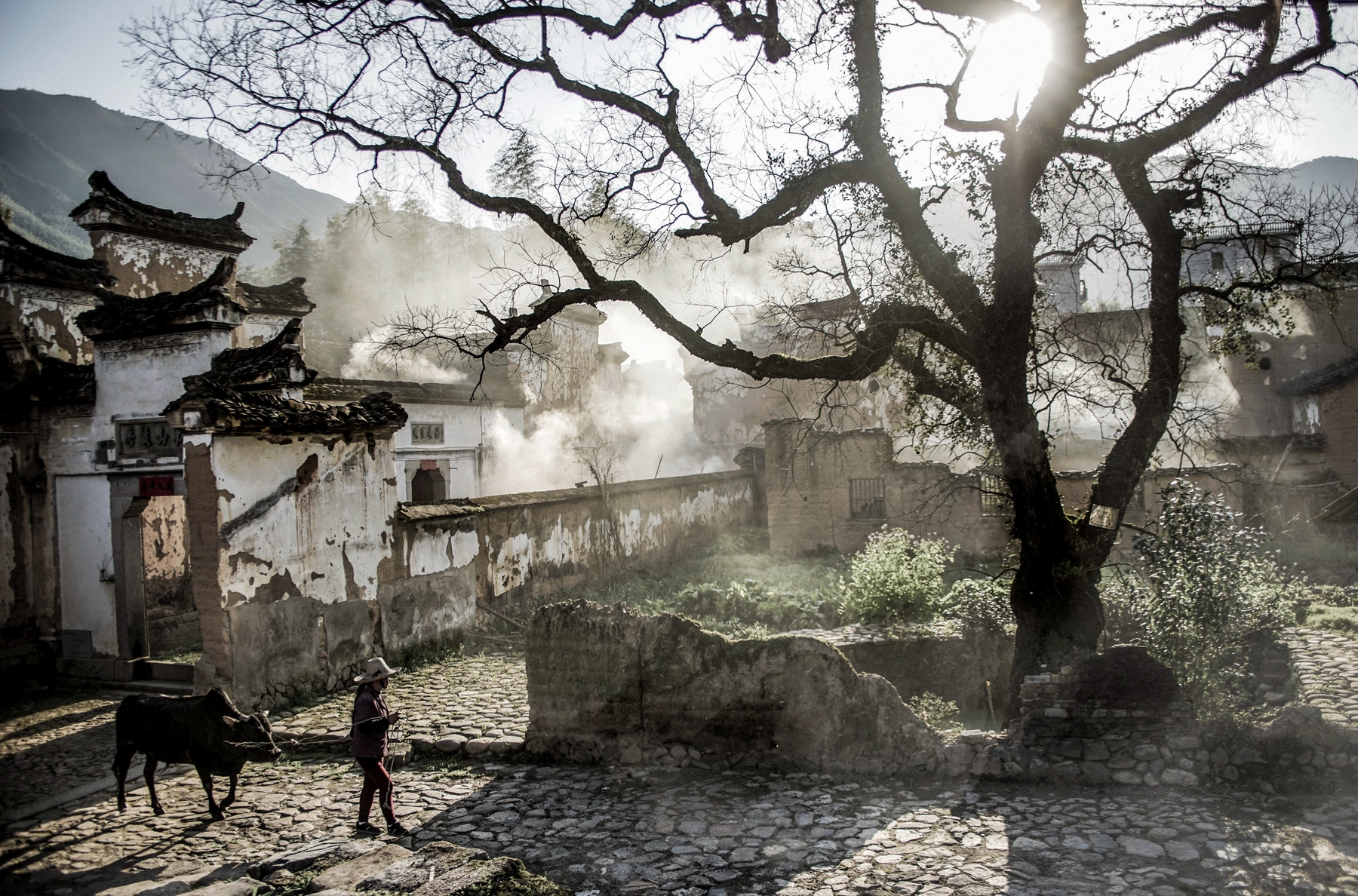 4月入選-陳翠娥-老村