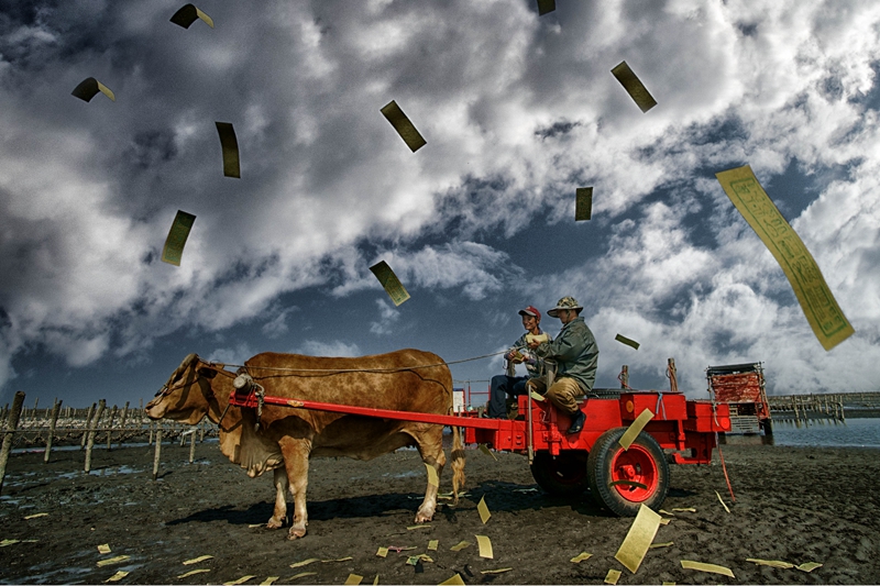 5月入選-楊朝文-海祭