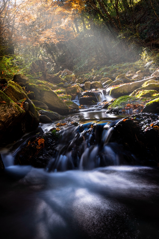 6月入選-楊朝文-楓之谷