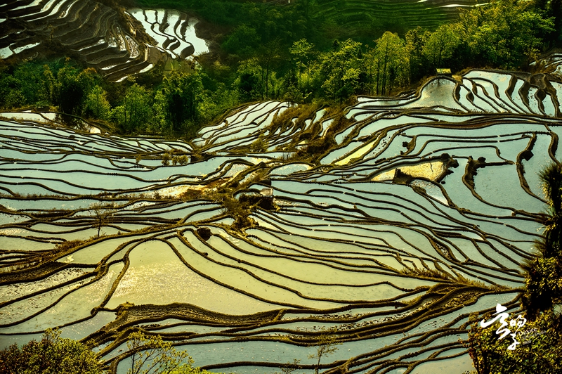 7月入選-吳暘子-地畫
