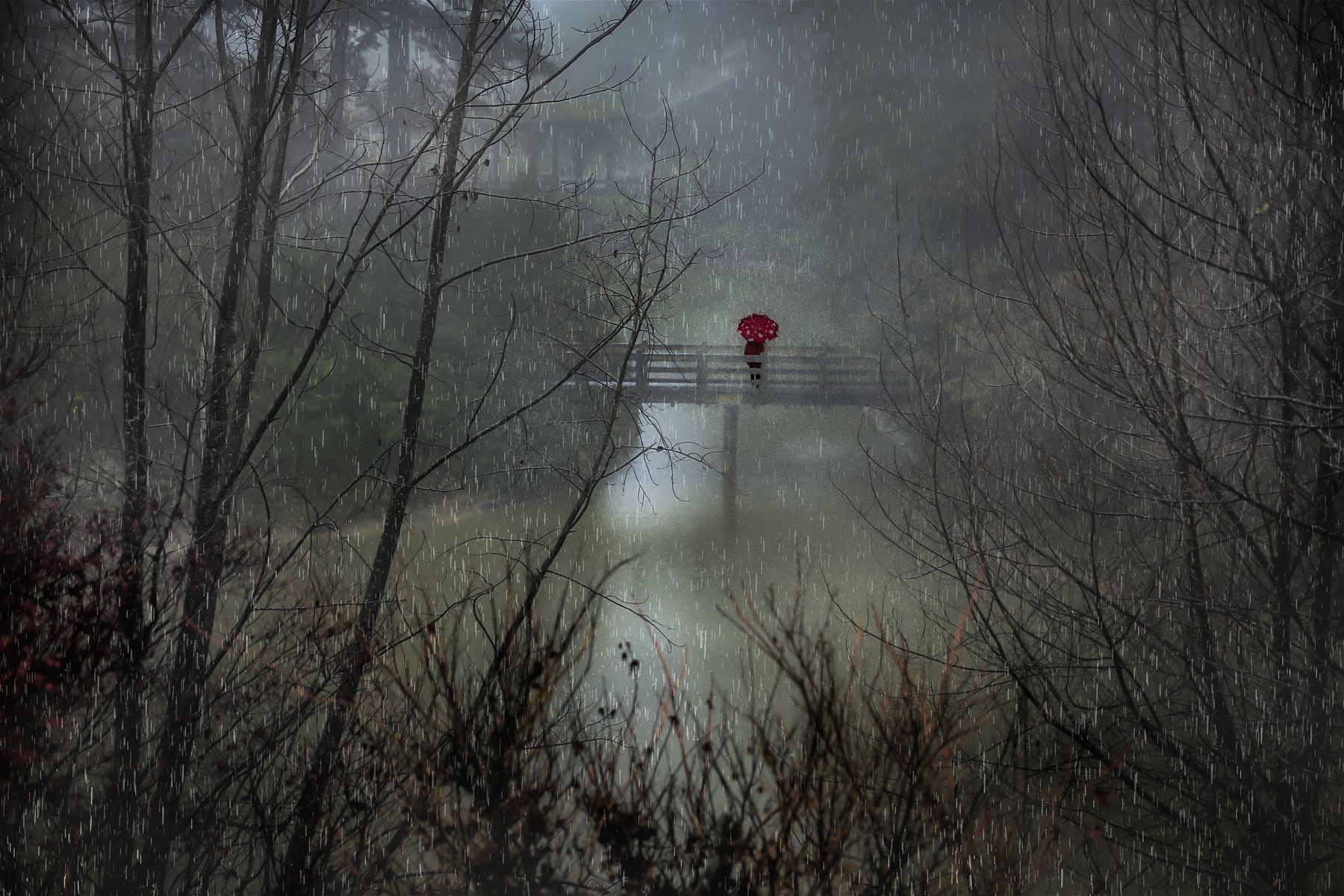 8月入選-陳瀅全-雨境-獨傘