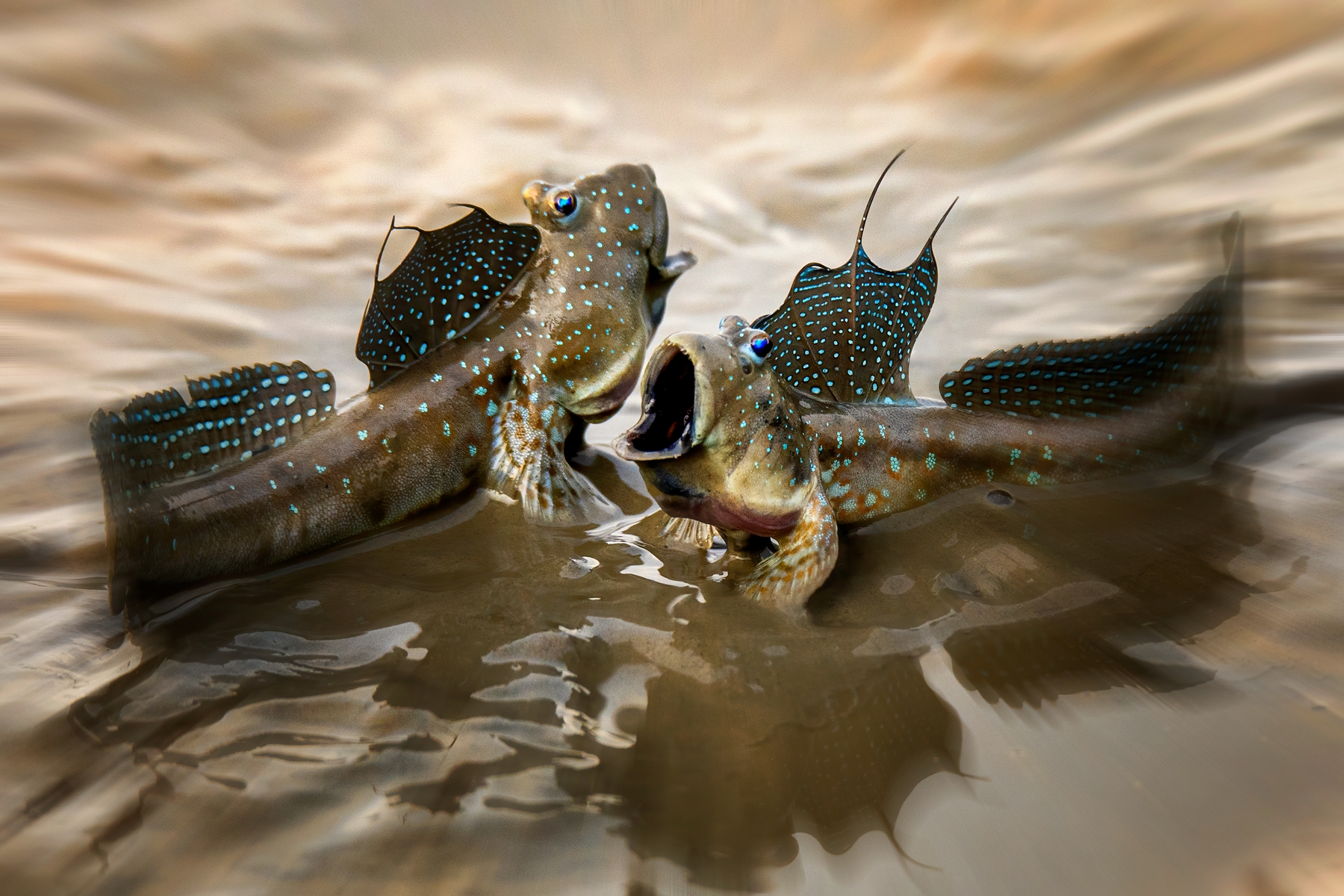9月入選-殷偉程-對峙