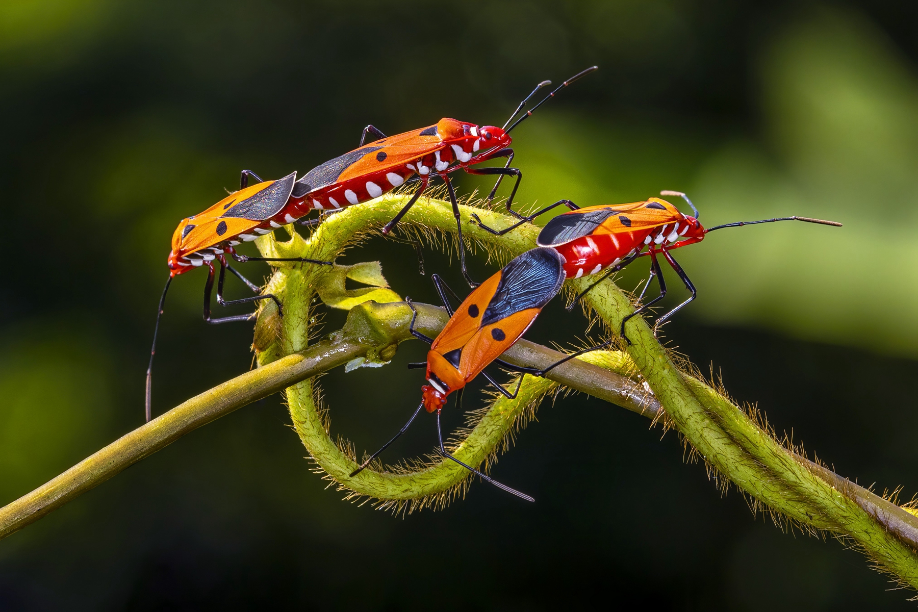 10月佳作-殷偉程-生生不息