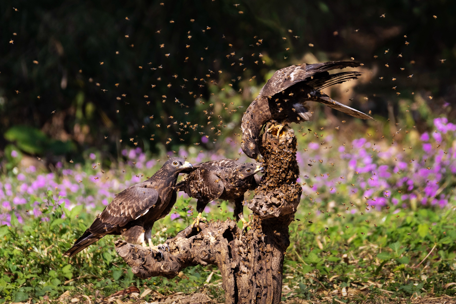 10月入選-邱瑞山-食堂客滿