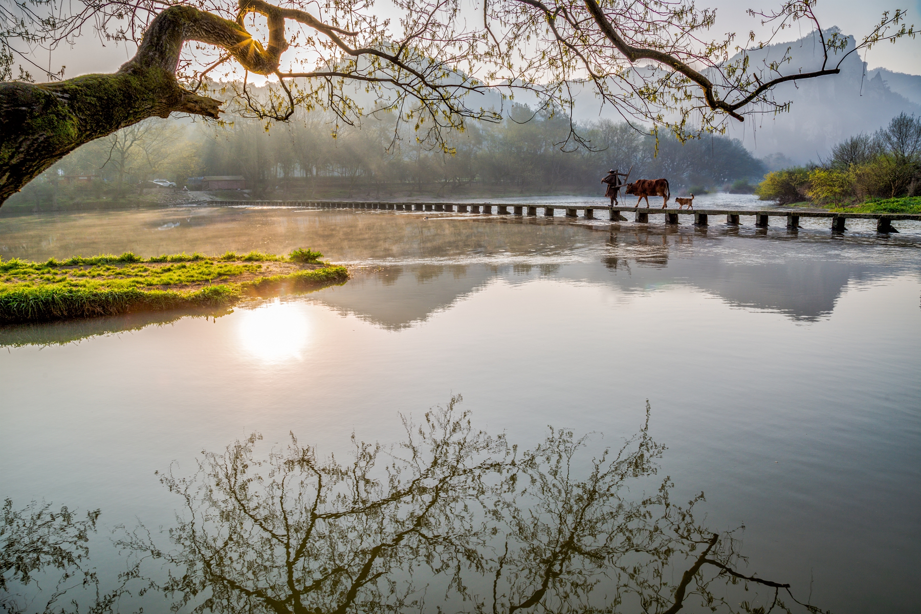 11月入選-陳秀芳-晨光序曲