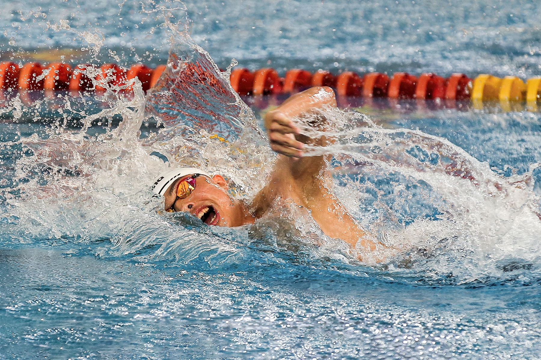 12月佳作-陳秀芳-水中蛟龍