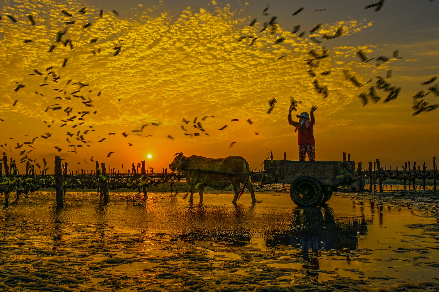 1月佳作-陳泓文-敬海神