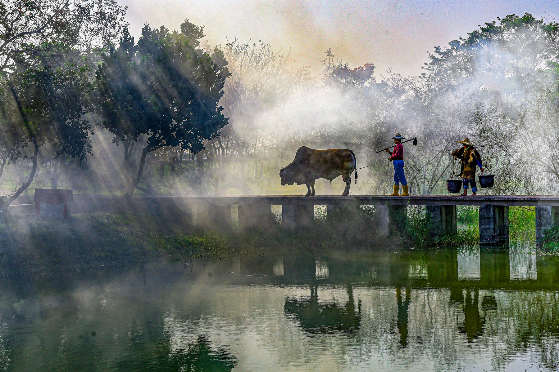 2月佳作-陳泓文-牽牛過橋