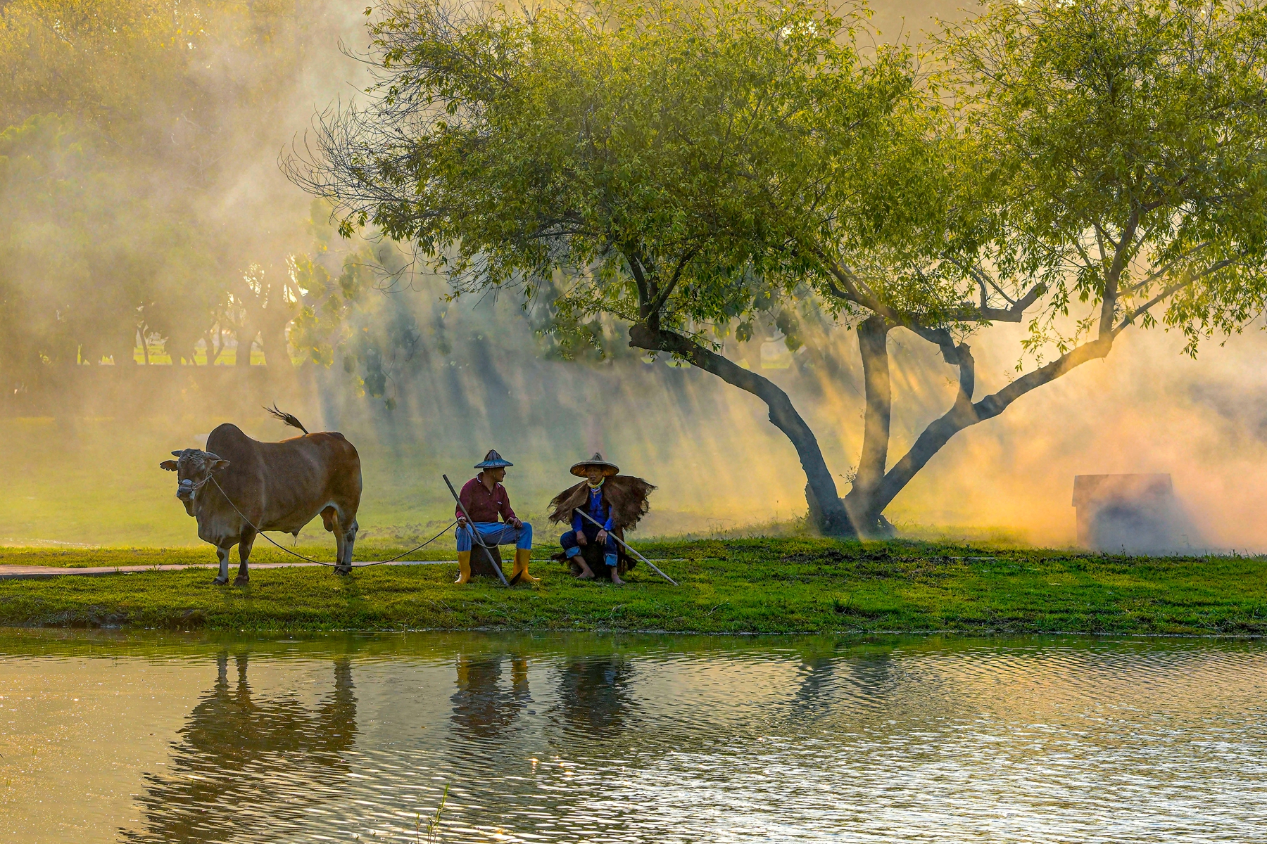 4月佳作-陳泓文-樹下講古