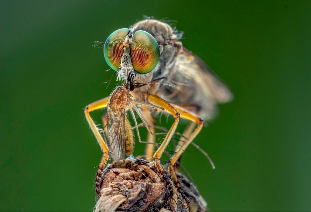 6月入選-陳翠娥-開動了