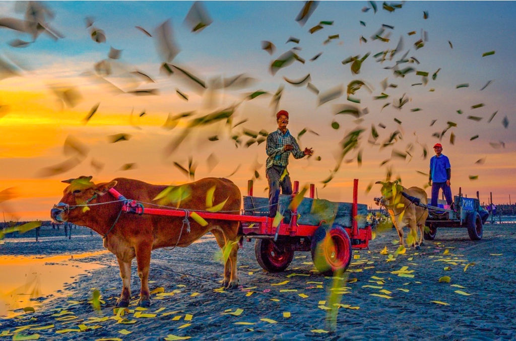 7月入選-陳泓文-敬獻海神