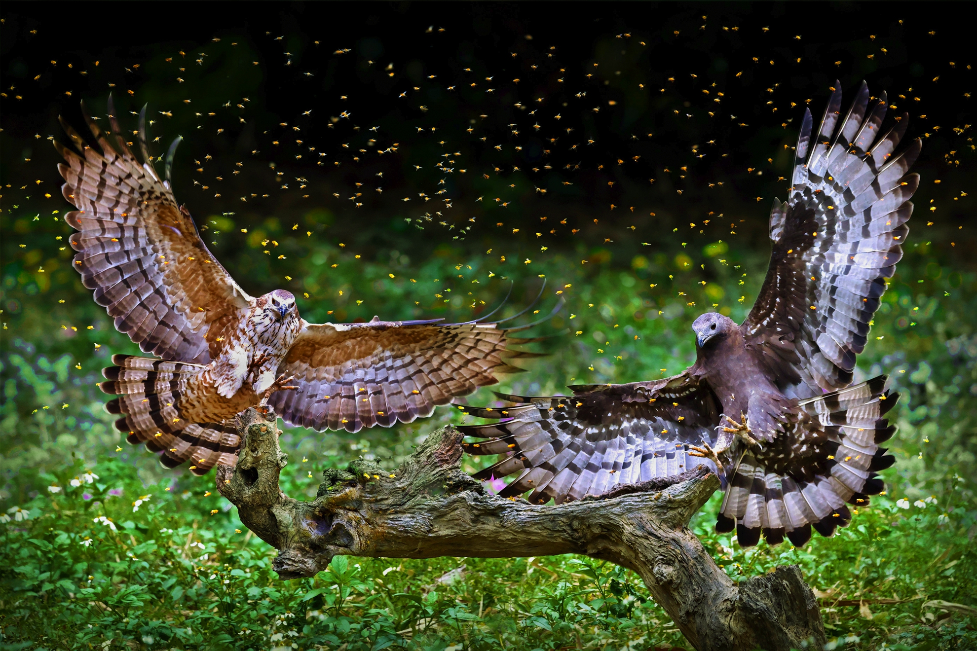 9月入選-邱瑞山-搶位子