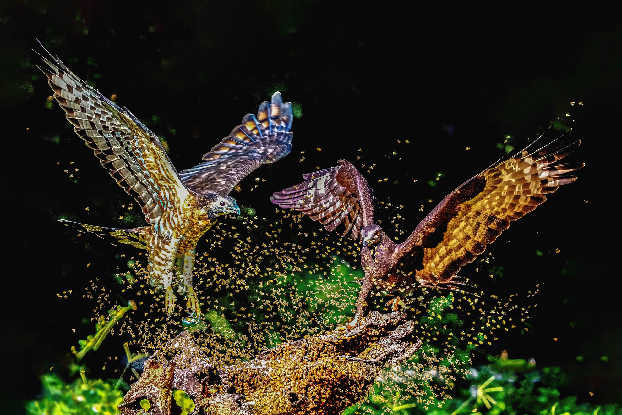 9月入選-陳翠娥-誰與爭蜂