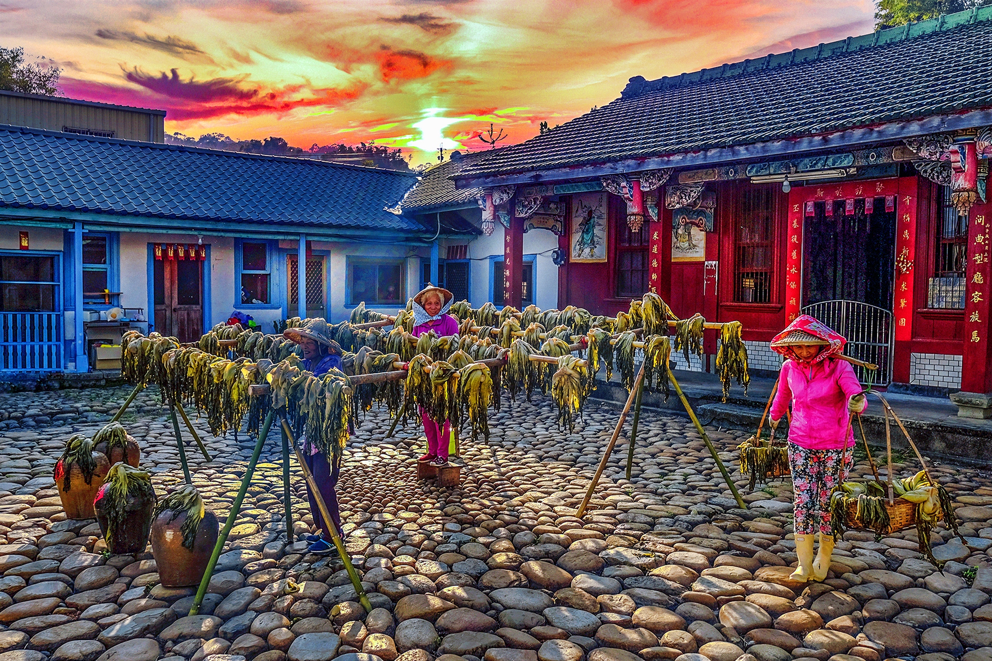 9月入選-陳翠娥-豐收季節