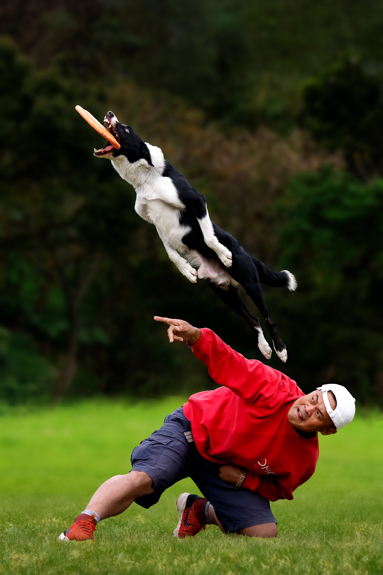 10月入選-邱瑞山-飛盤狗