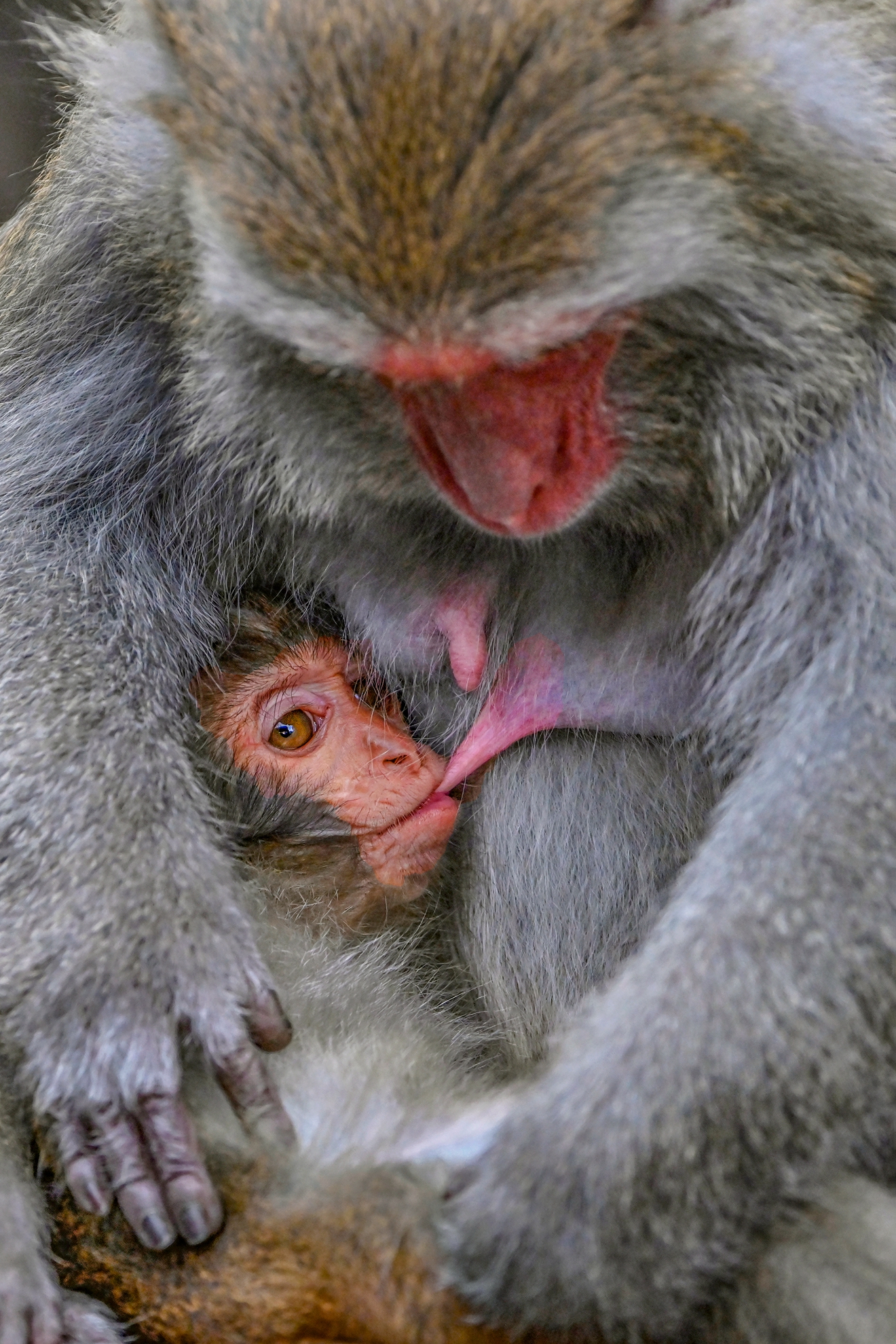10月入選-陳泓文-母愛