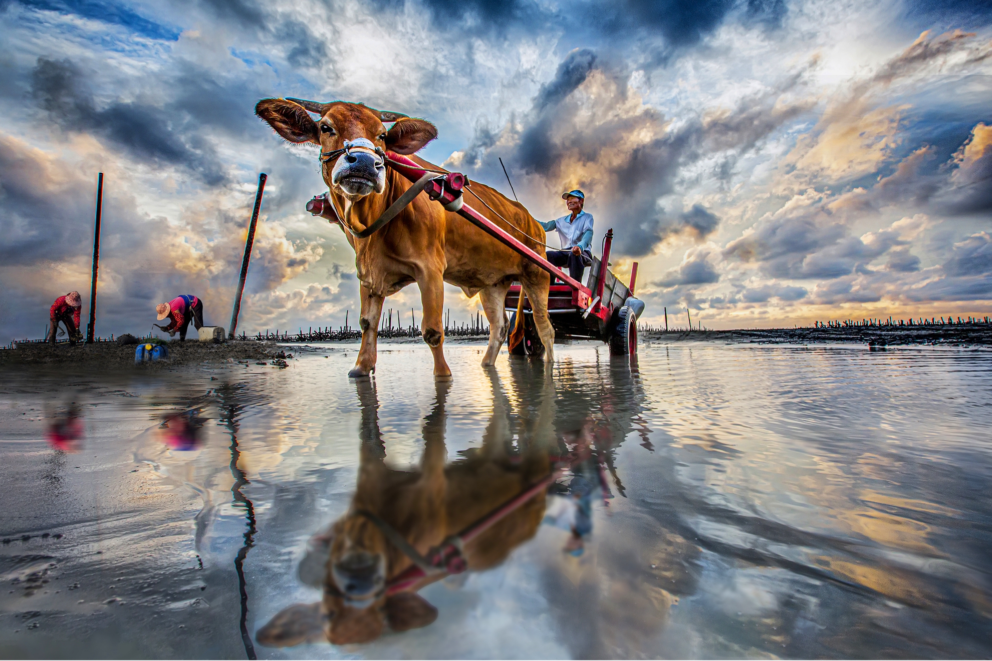 10月入選-陳翠娥-暮歸